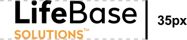 LifeBase Solutions logo size in pixels